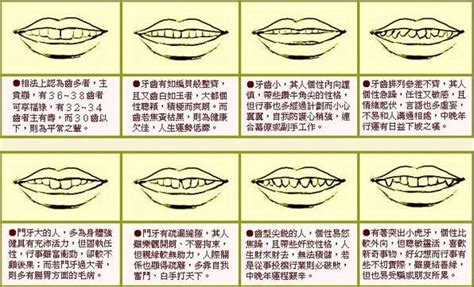 牙齒面相學|2024年你的牙齒面相代表什麼？倒及牙、哨牙⋯ 